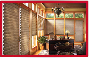 Plants: image 1 0f 4 thumb